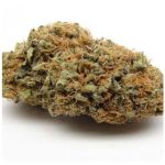 Шишки AK47 (Гидропоника, Бошка) VHQ в Кулебаках Шишки AK47 (Гидропоника, Бошка) VHQ в Кулебаках