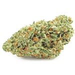 Шишки OG Kush (Гидропоника, бошки) VHQ в Кулебаках Шишки OG Kush (Гидропоника, бошки) VHQ в Кулебаках